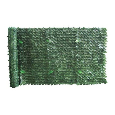 SIEPE SEMPREVERDE LAURO SERIE PLUS