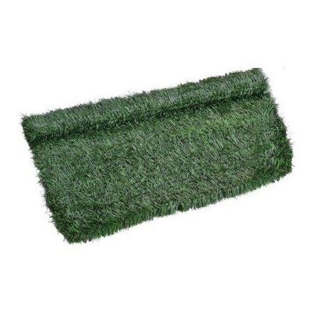 SIEPE SEMPREVERDE ABETE