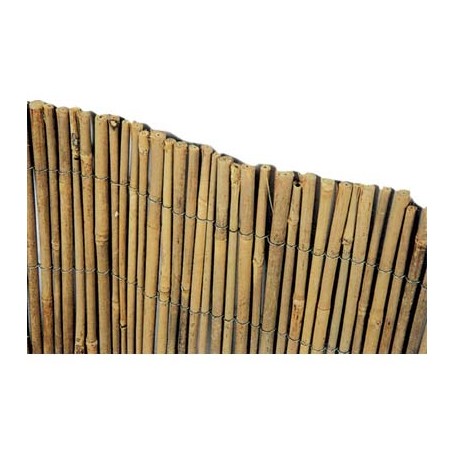 ARELLA STUOIA BAMBOO MEDIA STARS