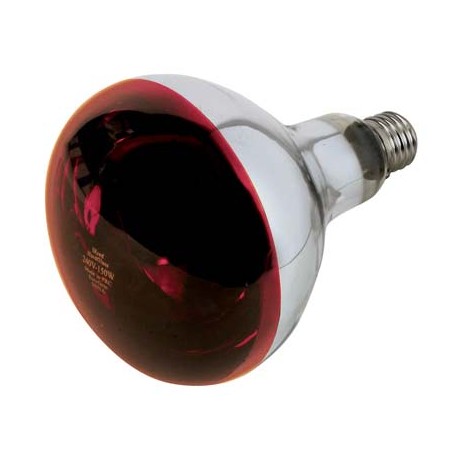 LAMPADA RIFLETTORE PULCINI PHILIPS