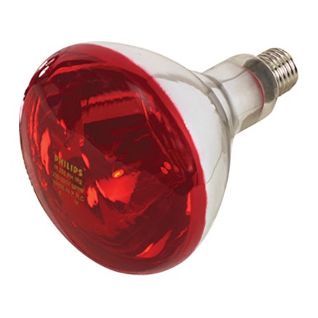 LAMPADA RIFLETTORE PULCINI