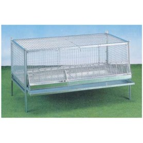 GABBIA PULCINI ANTITOPO