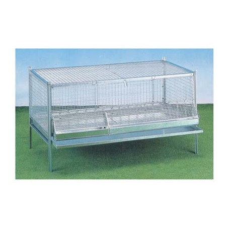 GABBIA PULCINI ANTITOPO