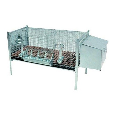 GABBIA X CONIGLI 1 FATTRICE