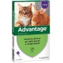ANTIPARASSITARIO ADVANTAGE GATTI BAYER