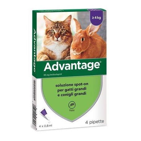 ANTIPARASSITARIO ADVANTAGE GATTI ELANCO