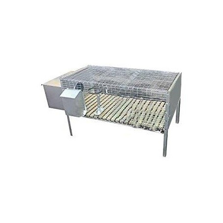 GABBIA X CONIGLI 1 FATTRICE