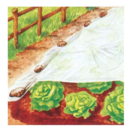 TELO ANTIGELO TNT PROTEZIONE PIANTE STARS