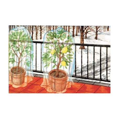 CAPPUCCIO ANTIGELO PLUS PROTEZIONE PIANTE STARS