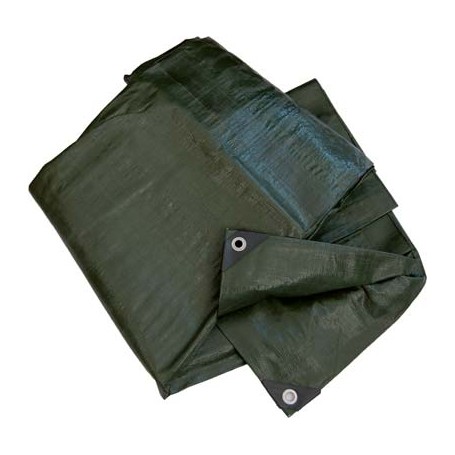 TELONE OCCHIELLATO PE PESANTE VERDE HAND