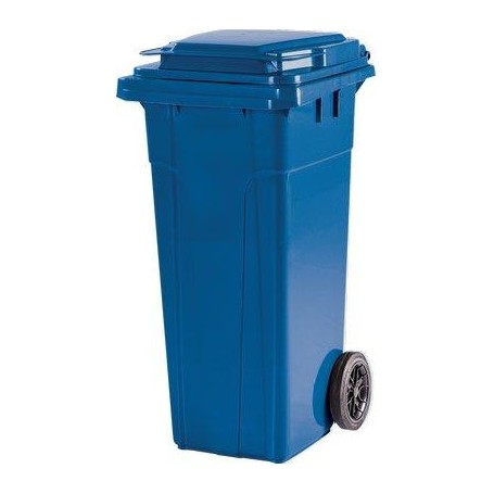 BIDONE IMMONDIZIA DOMUS 120 + RUOTE