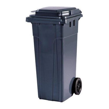 BIDONE IMMONDIZIA DOMUS 120 + RUOTE