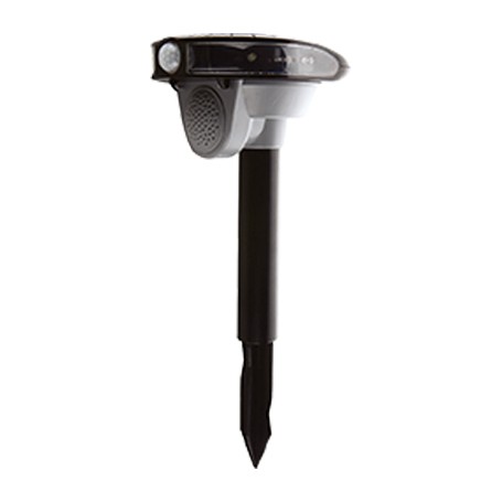 DISSUASORE VOLATILI SOLARE + SUONI STARS