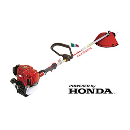 DECESPUGLIATORE HONDA 4T BLUEBIRD