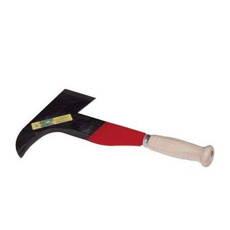 RONCOLA PENNATA RIETI 256 LEONELLI