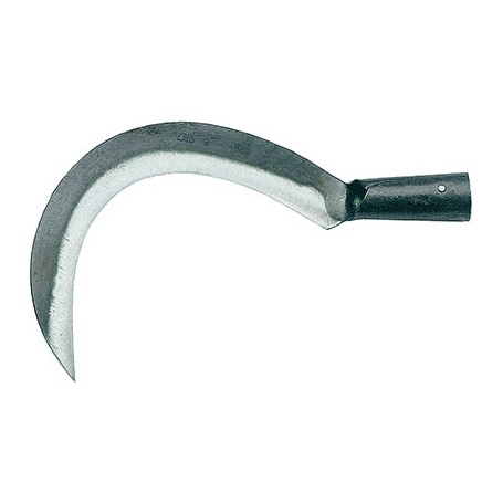 RONCOLA SCANSANO + CANOLA 113 RINALDI