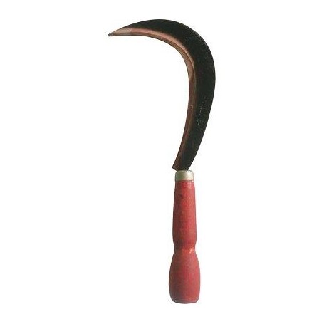 RONCOLINA X ORTAGGI STARS