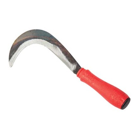 RONCOLINA X ORTAGGI FALCI