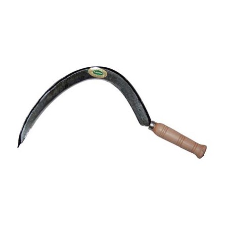 FALCIOLA MARCHE + COSTA 331 LEONELLI