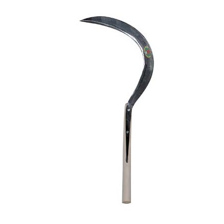 FALCIOLA SEGHEZZA CANTONIERE STARS