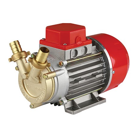 ELETTROPOMPA TRAVASO GASOLIO MARINA 20 ROVER