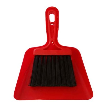 PALETTA E SCOPETTA PULIZIA AUTO